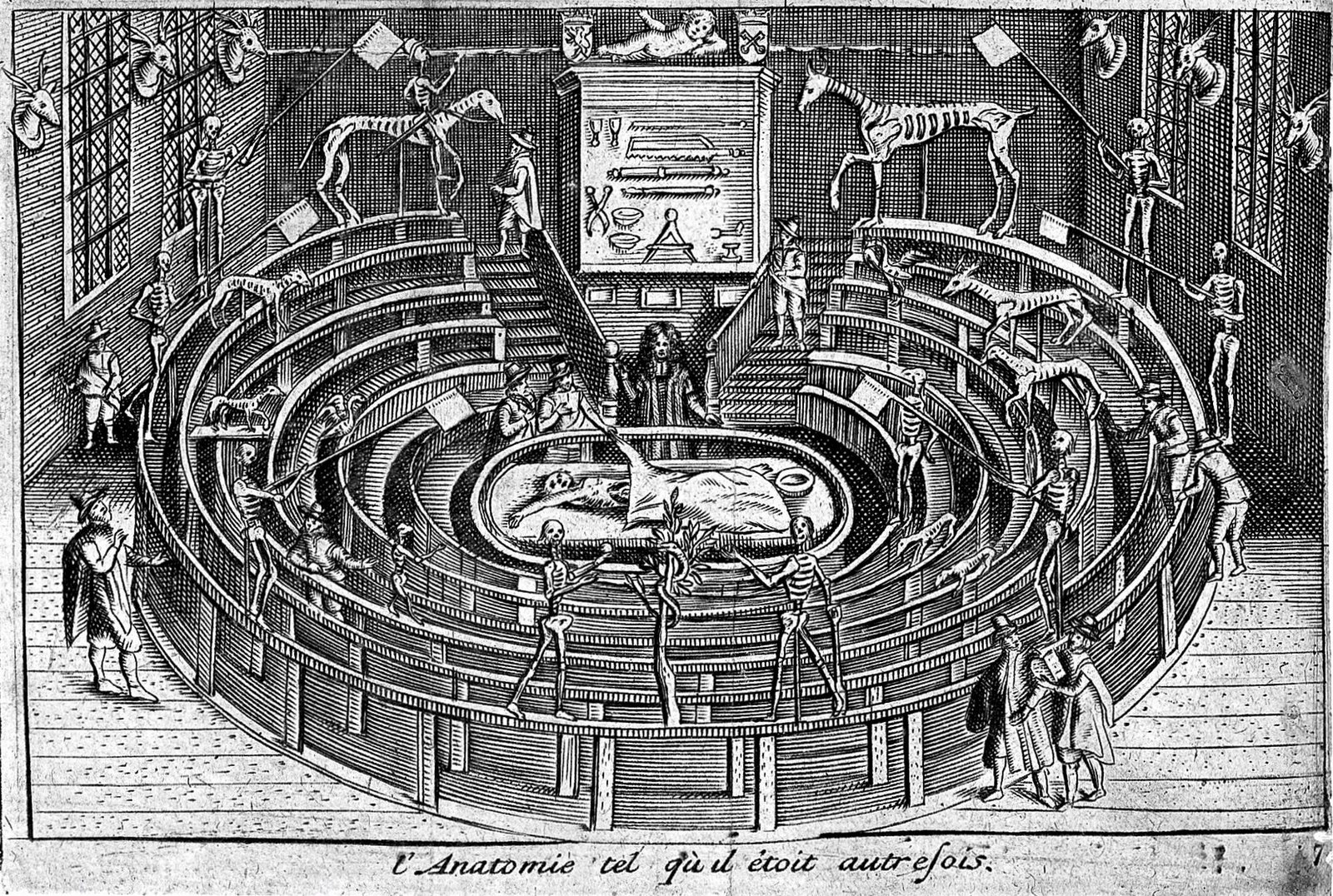 Grabado del teatro anatómico de Leiden con público y esqueletos