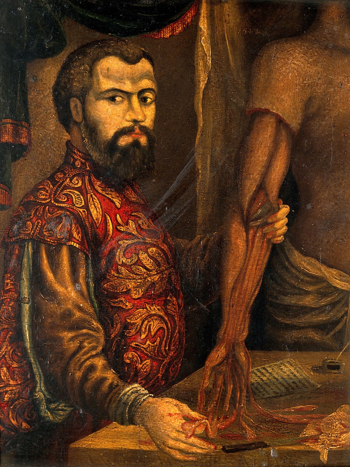 Retrato de Andrés Vesalio mostrando los músculos de un antebrazo disecado